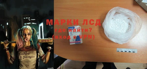 крисы Кулебаки