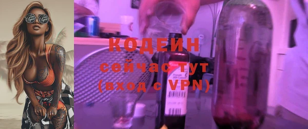 крисы Кулебаки