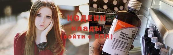 крисы Кулебаки
