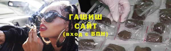 крисы Кулебаки