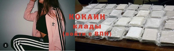 крисы Кулебаки