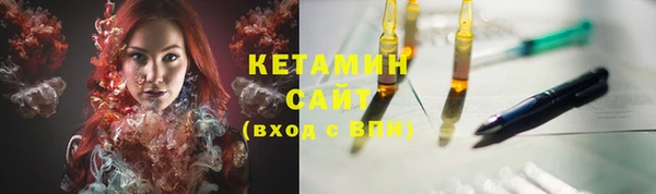 крисы Кулебаки