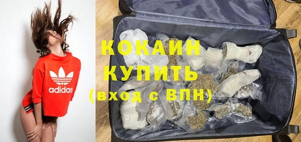 крисы Кулебаки