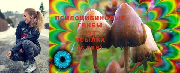 МДМА Кукмор