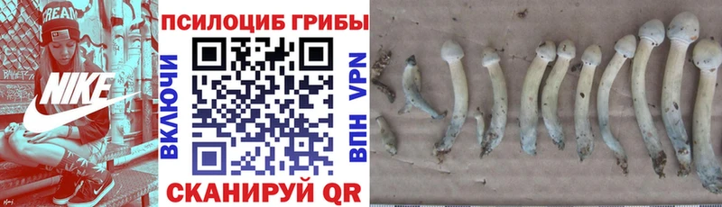 Псилоцибиновые грибы мухоморы  Купить закладки  Семикаракорск 